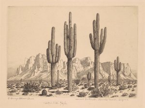 Desert Sentinels, Apache Trail, Arizona autorstwa George Elbert Burr