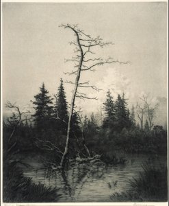 Wieczór autorstwa George Elbert Burr