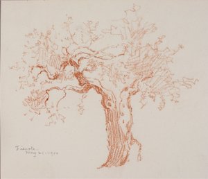 Fiesole autorstwa George Elbert Burr