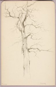 Hickory autorstwa George Elbert Burr