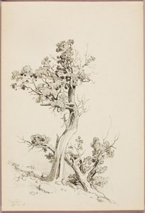 Manitou autorstwa George Elbert Burr