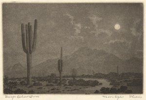 Moonlight-Feniks autorstwa George Elbert Burr