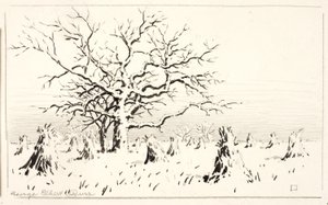 Motyw akwaforty autorstwa George Elbert Burr