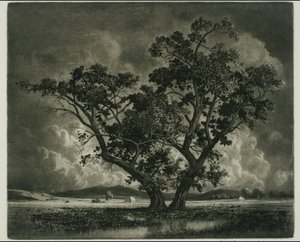 Old Cottonwoods, Kolorado autorstwa George Elbert Burr