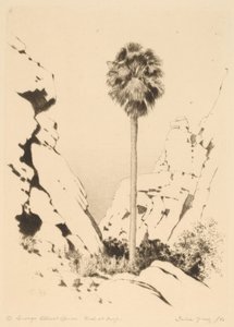 Kanion Palmowy (nr 1) autorstwa George Elbert Burr