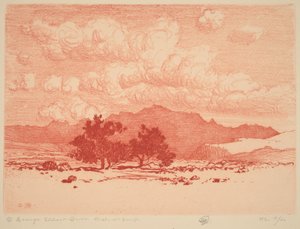Drzewa palo verde autorstwa George Elbert Burr
