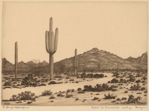 Droga do Paradise Valley, Arizona