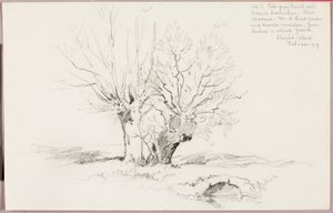 Roche Vaud autorstwa George Elbert Burr