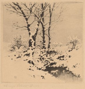 Śnieg autorstwa George Elbert Burr