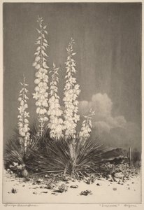  autorstwa George Elbert Burr