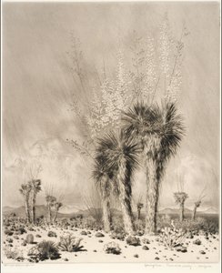 Wiosna, Paradise Valley, Arizona autorstwa George Elbert Burr