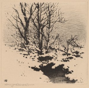 Pierwszy śnieg (nr 2) autorstwa George Elbert Burr