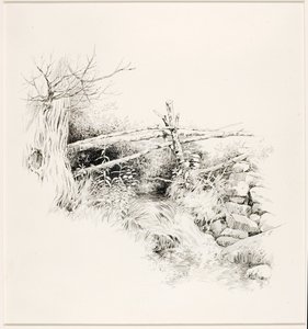 Bez tytułu (Woodland Stream) autorstwa George Elbert Burr