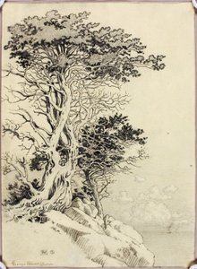 Bez tytułu (rysunek do druku) autorstwa George Elbert Burr