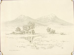 Bez tytułu (rysunek transferowy dla Spanish Peaks [nr 2]) autorstwa George Elbert Burr