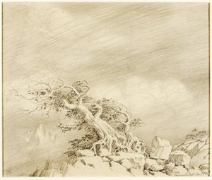 Bez tytułu (rysunek transferowy dla Storm near Timberline) autorstwa George Elbert Burr