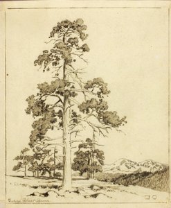 Bez tytułu (rysunek transferowy do druku) autorstwa George Elbert Burr