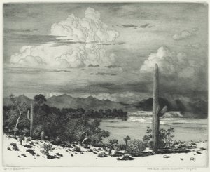 Verde River, rezerwat Apache, Arizona autorstwa George Elbert Burr