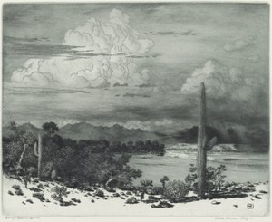 Rzeka Verde, Arizona autorstwa George Elbert Burr