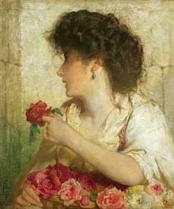 Letnia Róża, 1910