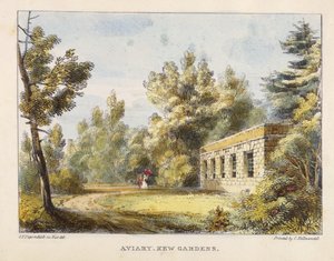 Woliera, Kew Gardens, tablica 10 z Kew Gardens: A Series of Twenty-Four Drawings on Stone, grawerowane przez Charlesa Hullmandela (1789-1850) wydane w 1820 r. (litografia ręcznie kolorowana)