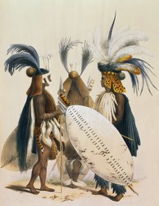 Żołnierze zuluscy z armii króla Pandy, tablica 20 z  autorstwa George French Angas