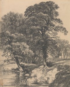 Uma paisagem arborizada com Poolpolish