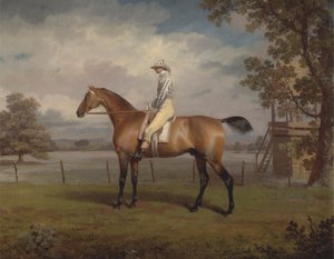Portret konia wyścigowego, prawdopodobnie w przebraniu, własność księcia Hamilton, z dżokejem autorstwa George Garrard