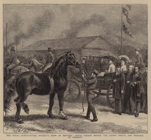 Pokaz Królewskiego Towarzystwa Rolniczego w Bedford, Parada Koni przed Księciem Koronnym i Księżną Niemiec autorstwa George Goodwin Kilburne