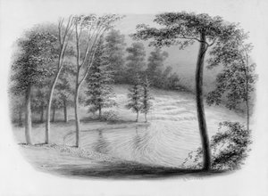 Brook z albumu Hosack, . autorstwa George Harvey