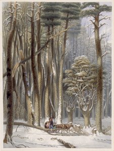 Zima, utrudnieni podróżnicy w sosnowym lesie, z Harveys Scenes of the Primitive Forest of America, 1841 (akwatinta ręcznie kolorowana)