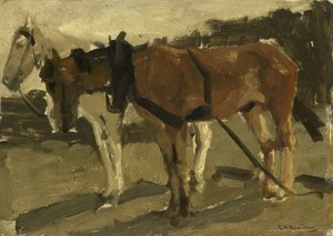 Brązowy i biały koń w Scheveningen autorstwa George Hendrik Breitner