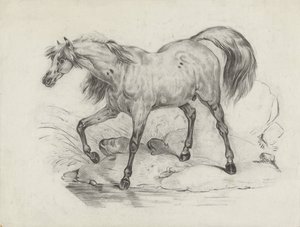 Koń stojący, po lewej stronie autorstwa George Hendrik Breitner