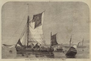 Brytyjskie rybołówstwo, nr 7, kłusem dla Trąbków autorstwa George Henry Andrews