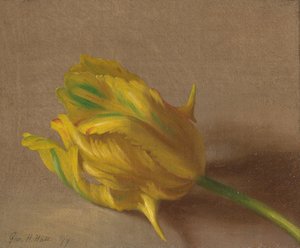  autorstwa George Henry Hall
