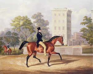 Marquis of Anglesea na koniu w Hyde Parku, w 80. roku życia, grawerowany przez J. Harrisa, 1847 (kolor grawerowany)