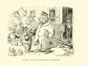 Mr Rhino wykonał sensacyjne wejście w Acclimatationville (litho)