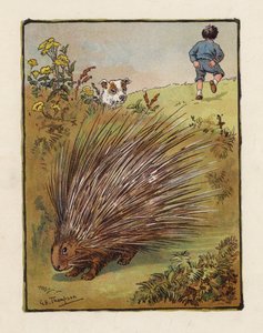Jeżozwierz (kolorowa litografia)