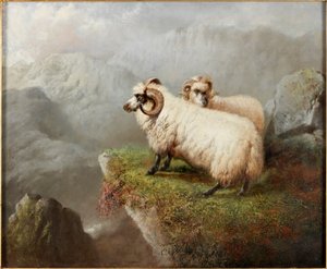 Owce na krawędzi klifu, ok. 1865-68