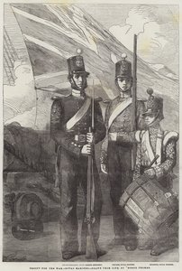 Oddziały na wojnę, Royal Marines