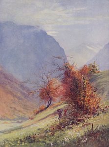Jesień w Alpach (kolor lito)