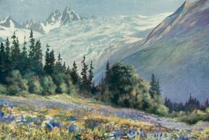 Dzwoneczek i inne lipcowe kwiaty na Col Des Montets (kolor lito)