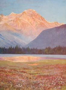 Wieczór wśród różowych pól Bistort w Lac Champex; zachód słońca nad Grand Combin, lipiec (kolorowa litografia)