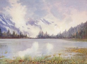 Lac Champex w zachmurzonej krainie pod koniec maja; Caltha palustris i Primula farinosa na brzegu wody (kolorowa litografia)
