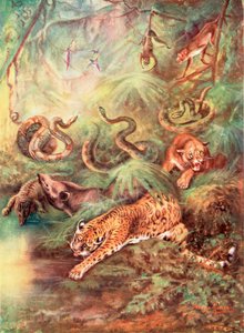 Wielki brazylijski las i jego zoo (kolorowa litografia)