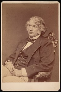 Portret Charlesa Sumnera 1811-1874, przed 1874.