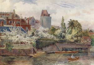 Riverside Gardens (druk kolorowy)