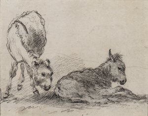 Źrebięta osioł (węgiel na papierze) autorstwa George Morland