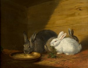 Króliki autorstwa George Morland