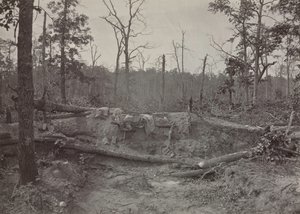 Pole bitwy pod kościołem New Hope, Georgia, nr 2, 1865-1866.